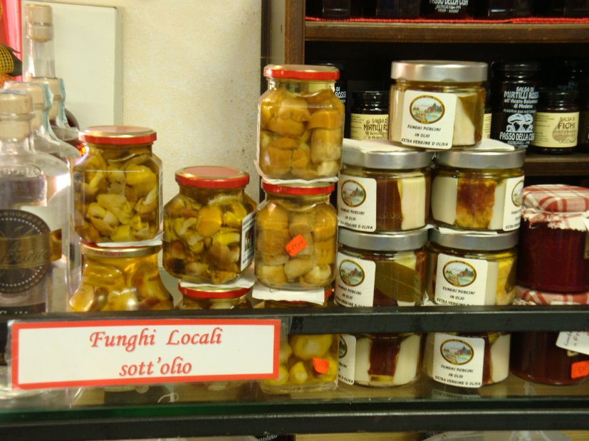 FUNGHI DELLA CISA